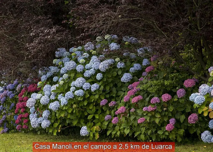 Casa Manoli Luarca